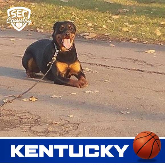 Meet your Posher, David - Picture 1 of 1